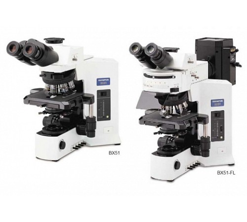 Микроскоп BX-51, прямой исследовательский, Olympus Микроскоп BX-51, прямой исследовательский, Olympus