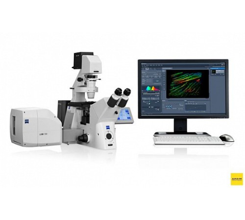 Микроскоп конфокальный LSM 700, лазерный сканирующий, Zeiss Микроскоп конфокальный LSM 700, лазерный сканирующий, Zeiss