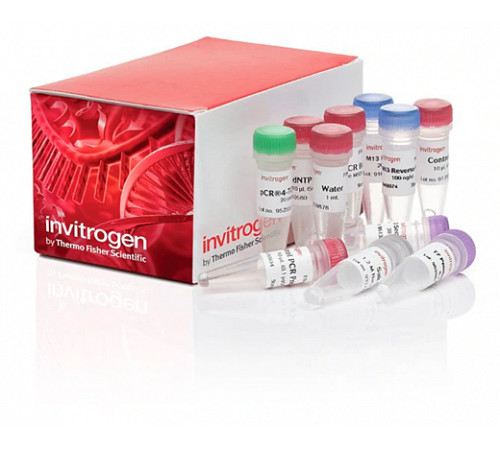 Набор для клонирования TOPO TA Cloning Kit for Sequencing, компетентные клетки не включены, Thermo FS Набор для клонирования TOPO TA Cloning Kit for Sequencing, компетентные клетки не включены, Thermo FS