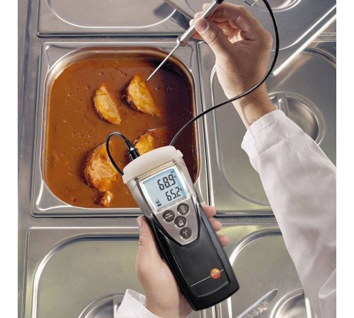 Термометр Testo 110 Термометр Testo 110